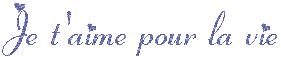 depui konc kité